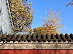 -护国法轮寺
