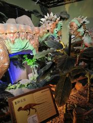 -恐龙探索乐园(磁器口店)