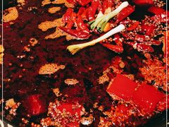 -映山红鲜货火锅(鱼嘴店)