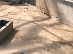 -水绘园