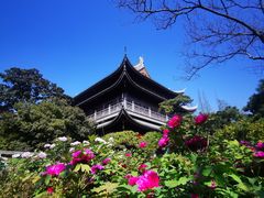 -龙华寺