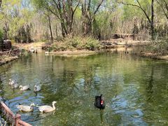 -济南野生动物世界