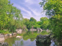 -上海吴淞炮台湾国家湿地公园