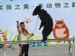 -武汉紫薇都市田园