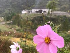 -鹿院坪生态旅游景区