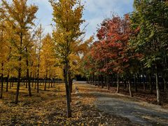 -赛纳河休闲商务会馆(天宁寺店)