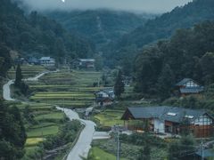 -梧桐山风景名胜区