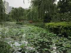 -圩墩遗址公园