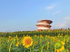 -光明小镇欢乐田园