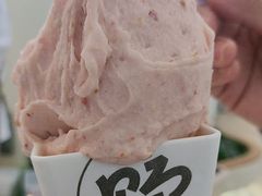 -野人先生现做冰淇淋(深圳壹方城店)