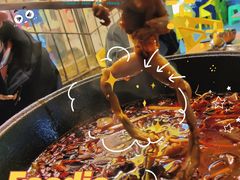 -鸿顺老铁锅美蛙鱼府(解放碑店)