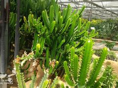 -兰陵国家农业公园