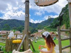 -龙岩森林水乡景区