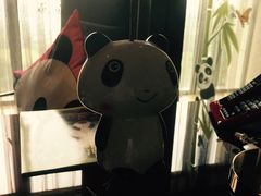 -成都保利公园皇冠假日酒店(熊猫基地店)