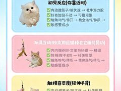 -翊宠yipet猫狗购宠庄园犬舍•猫舍
