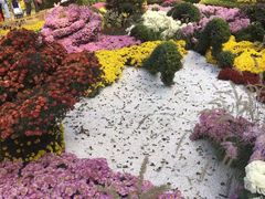 -汇龙潭