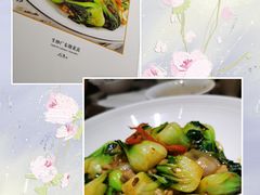 生炒广东塘菜苗-尚一汤·粤菜海鲜(环球港店)