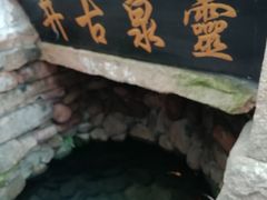 -溪口-滕头旅游景区