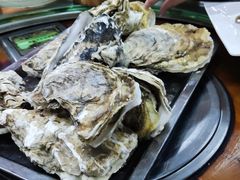原只蒸生蚝-蚝得喜海鲜(东城店)