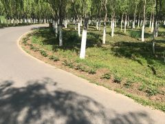 -东郊湿地公园