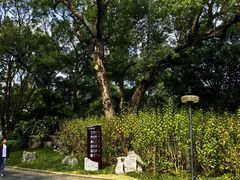 -柳侯公园