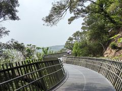 -福道