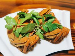 -呼吸森林·生态农庄农家乐私房菜