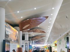 -星巴克(海口美兰机场分店)