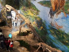 -自贡恐龙博物馆