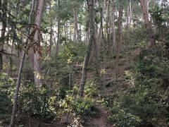 -黔灵山公园