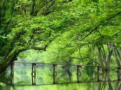 -西溪南古村落景区