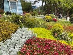 -铁山坪森林公园