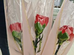-上海鲜花港