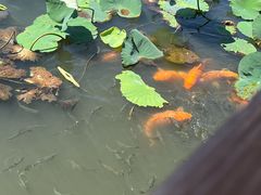 -兰亭风景区