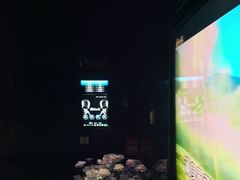 -黑桃K生日订制KTV