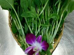 -高兴壹锅·潮汕鲜牛肉火锅(良乡梅花庄店)
