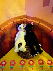 -疯狂冒险家-亲子密室-东坝店(金隅嘉品店)