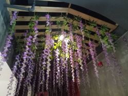 -Cocodemer 产后恢复中心(多伦路店)