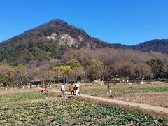 -八卦田遗址公园