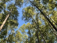 -南京金牛湖风景区