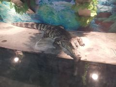 -成都浩海立方海洋公园