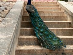 -青藏高原野生动物园