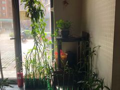 -御灸堂古法艾灸(东坝店)