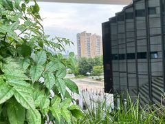 -贵州省地质博物馆