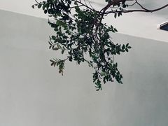 -毛辣果·酸(OHA复兴西路店)