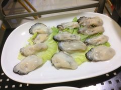 -蚝专家