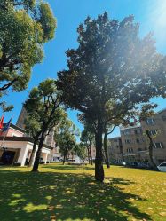 -锦江饭店·锦江小礼堂·宴会厅