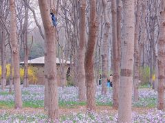 -将府公园