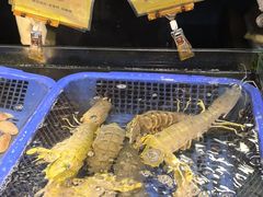 -新金盛·海鲜酒楼(盐田店)