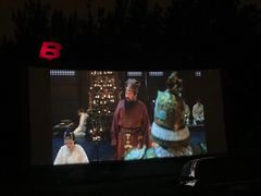 -枫花园汽车电影院(朝阳公园店)